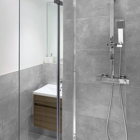 Lofty Ash Glazed Porcelain W&F 300x600mm