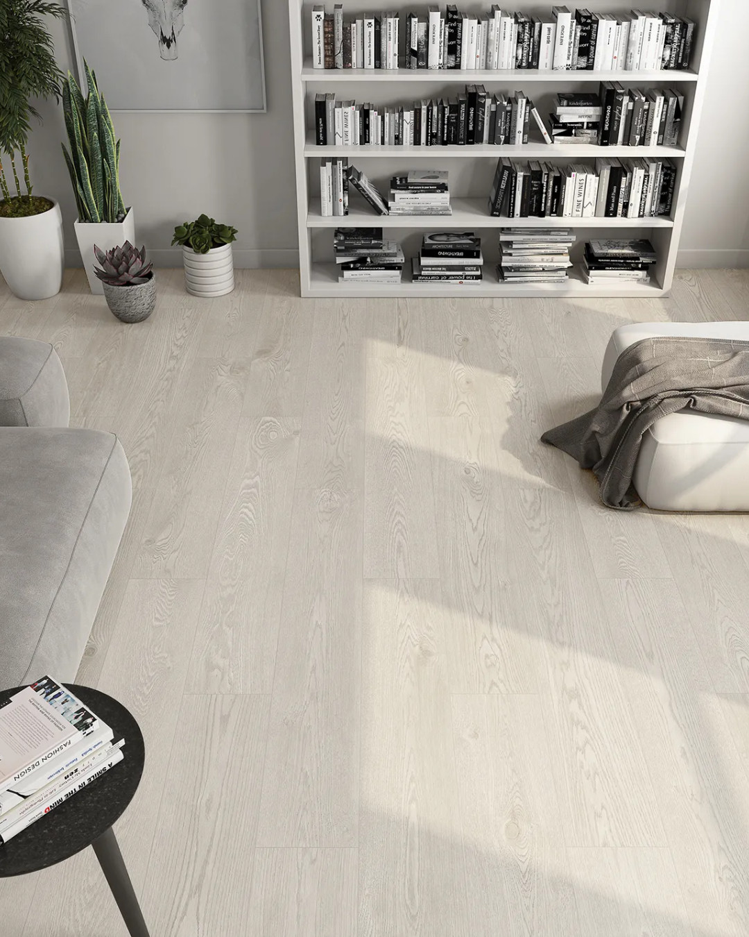 Saloni Robur - Image 3