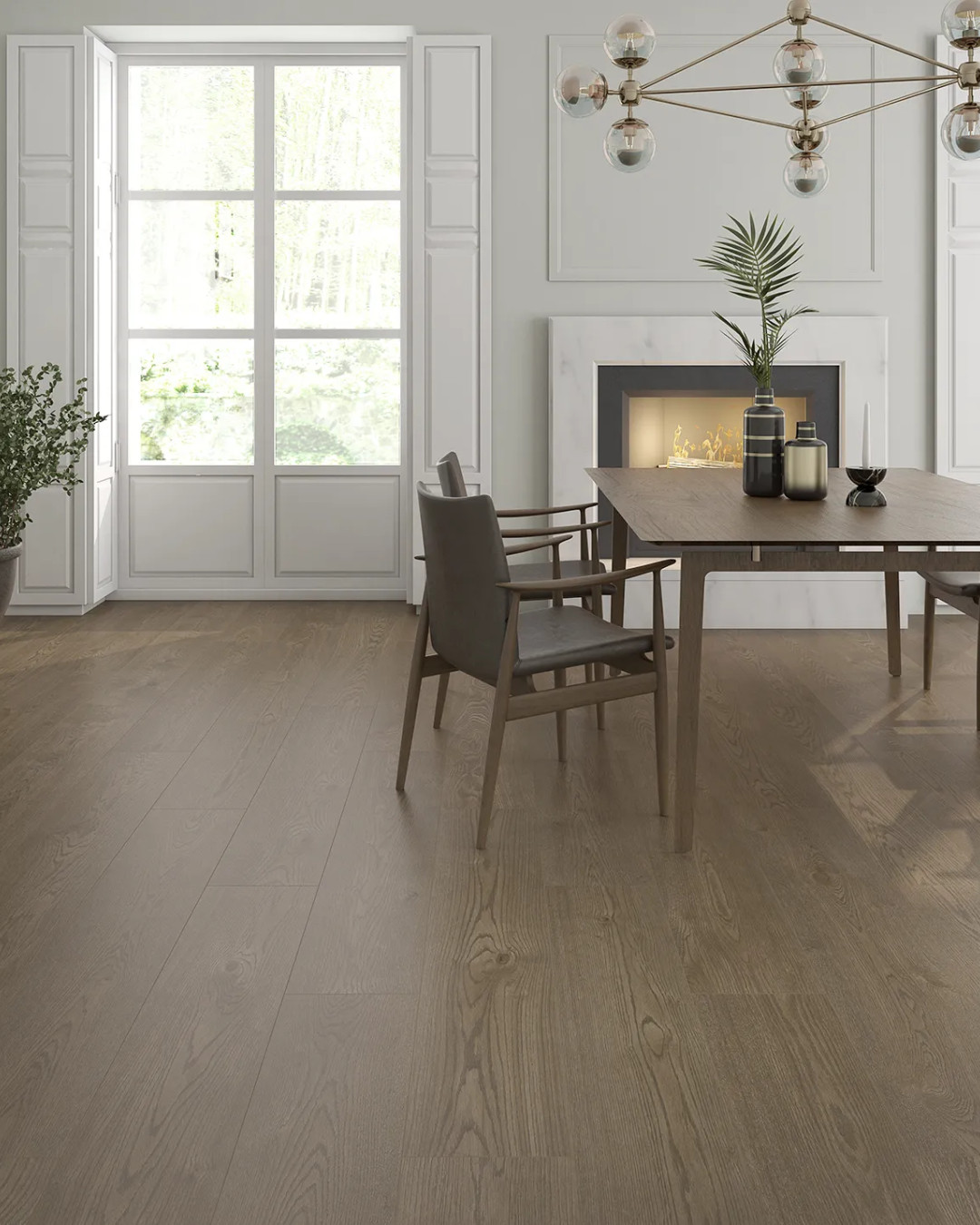 Saloni Robur - Image 5
